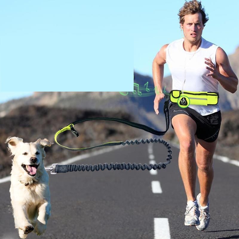 Hands-Free Dog Running Leash with Waist Pocket Adjustable Belt Shock Absorbing Bungee - Pets Crazy Shops