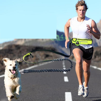 Hands-Free Dog Running Leash with Waist Pocket Adjustable Belt Shock Absorbing Bungee - Pets Crazy Shops