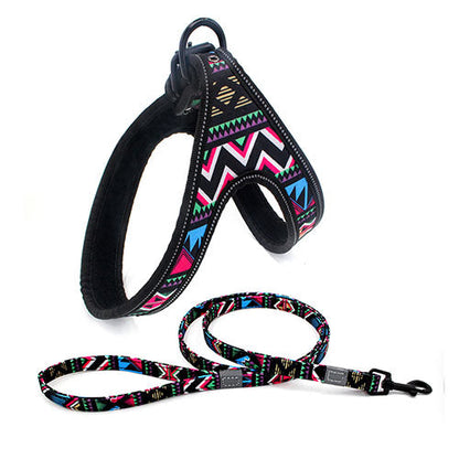 Colorful Dog Leash Dog Walking Rope Small And Medium-sized Dog Explosion-proof Dog Chain - Pets Crazy Shops