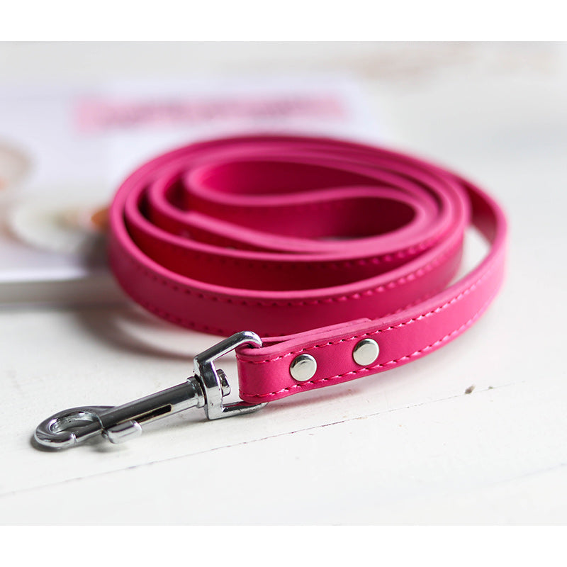 Pet leash collar - Pets Crazy Shops