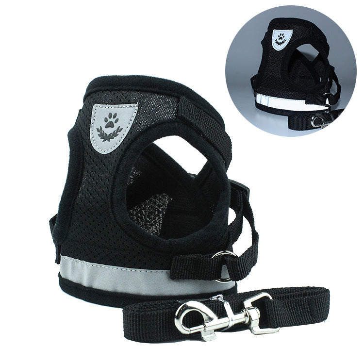 Pet Car Seat Belt Pet Leash - Pets Crazy Shops