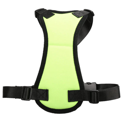 Car seat belts for pets - Pets Crazy Shops