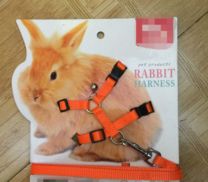 Towing rope for small pets - Pets Crazy Shops