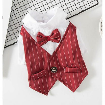 Small dog suit clothes - Pets Crazy Shops