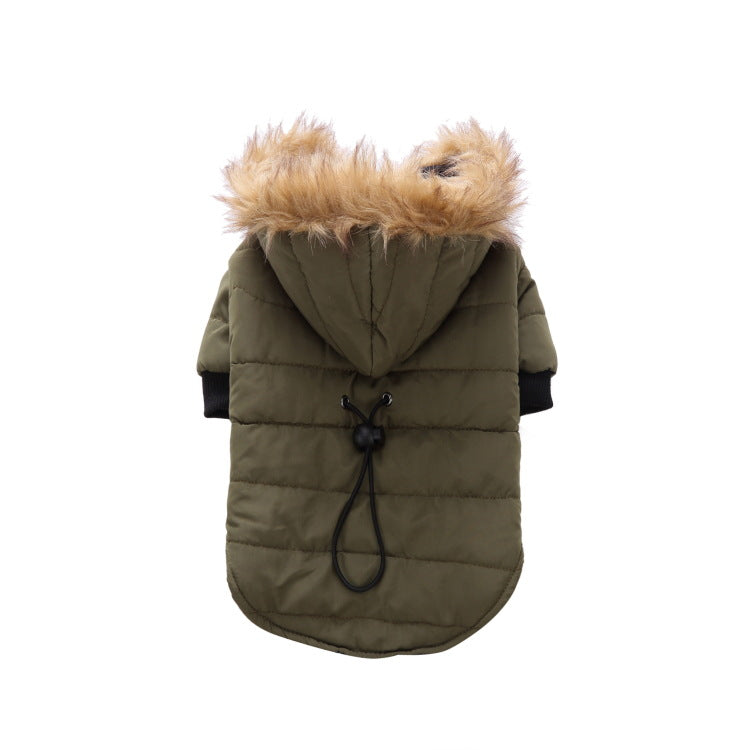 Winter clothing for pets - Pets Crazy Shops