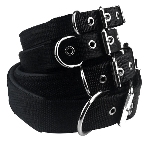 Nylon foam leather pet collar collar 3 color dog collar sponge pet supplies traction - Pets Crazy Shops