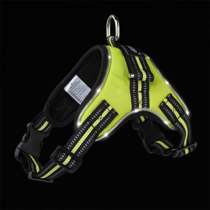 Glowing dog collar - Pets Crazy Shops