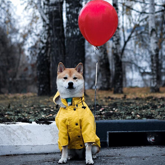 Dog Raincoat Pet Clothes Dog Clothes Rain Water  -  - Pets Crazy Shops -