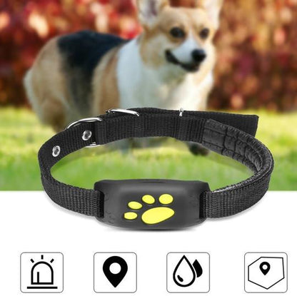 GPS Pet Tracker - Pets Crazy Shops