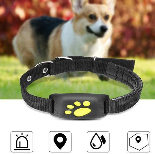 GPS Pet Tracker - Pets Crazy Shops