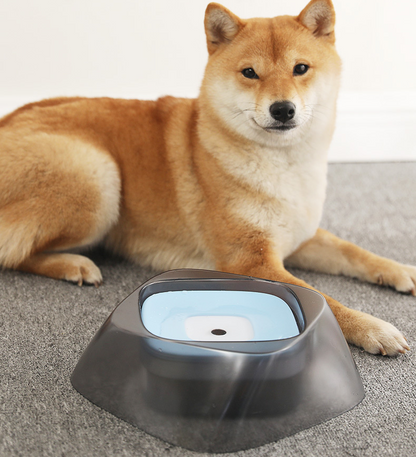 Pet Dog Bowl Floating Not Wetting Mouth Cat Bowl No Spill Drinking Water Feeder - Pets Crazy Shops