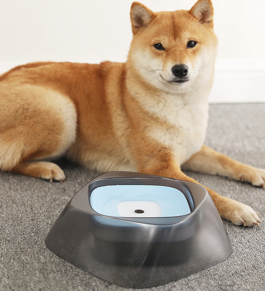 Pet Dog Bowl Floating Not Wetting Mouth Cat Bowl No Spill Drinking Water Feeder - Pets Crazy Shops