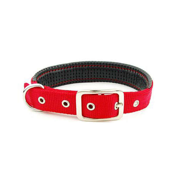 Medium and large dog collars - Pets Crazy Shops