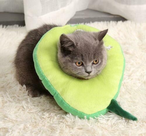 Adjustable Pet Neck Cone Recovery Pet Cat Recovery Collar Cat Soft Lemon Neck Cone Adjustable Pet E Collar After Surgery, Wound Healing Protective Cat Elizabethan Collar For Kitten & Puppy - Pets Crazy Shops