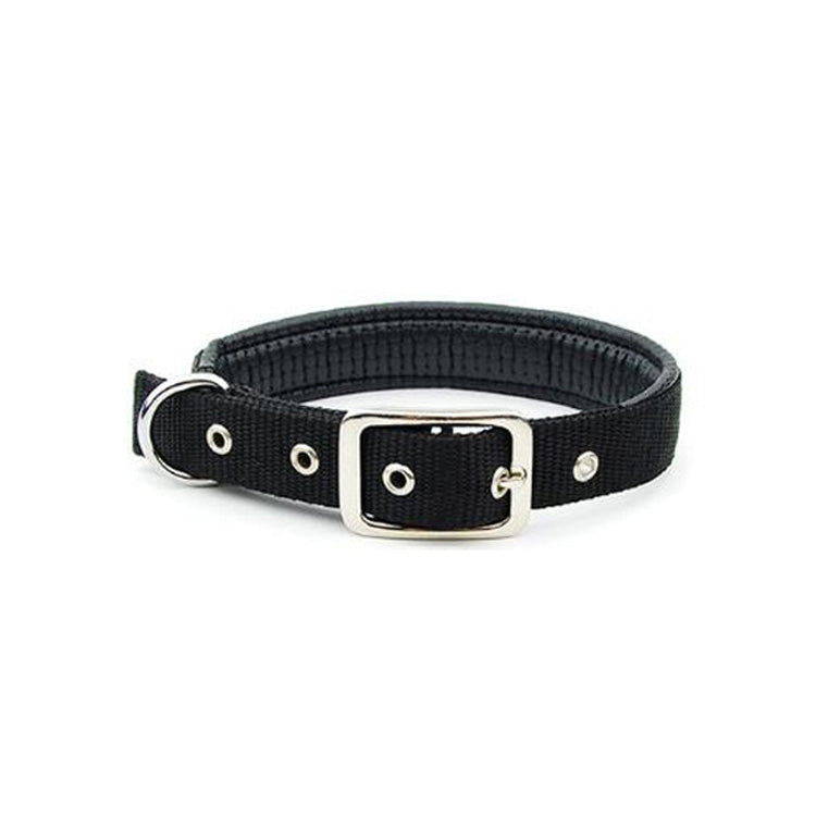 Medium and large dog collars - Pets Crazy Shops