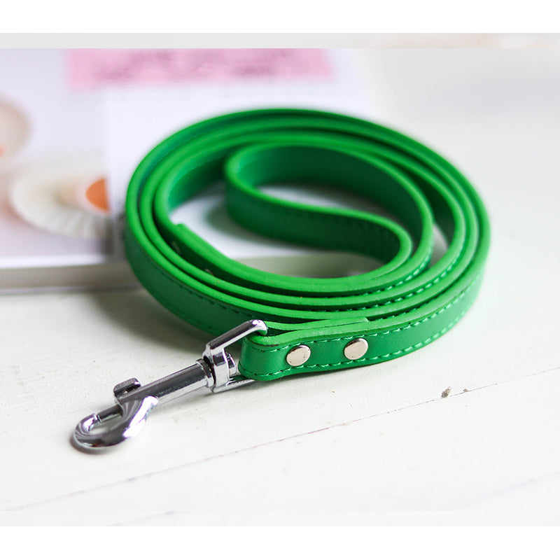 Pet leash collar - Pets Crazy Shops