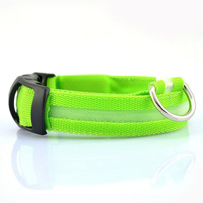 LED Pet Safety Collar - Pets Crazy Shops