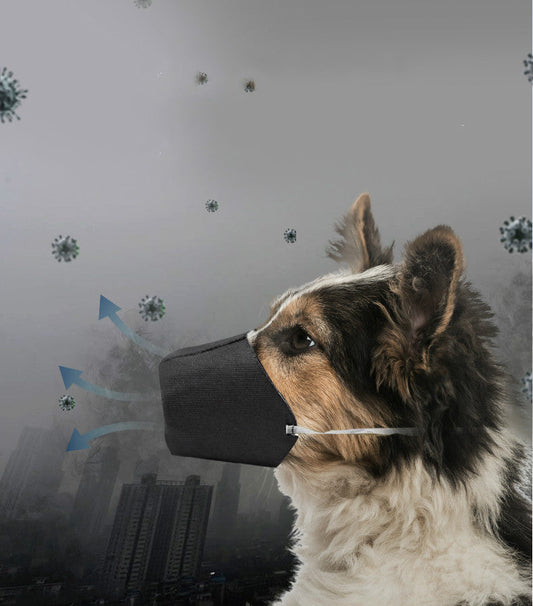 Go out pet mouth cover - Pets Crazy Shops