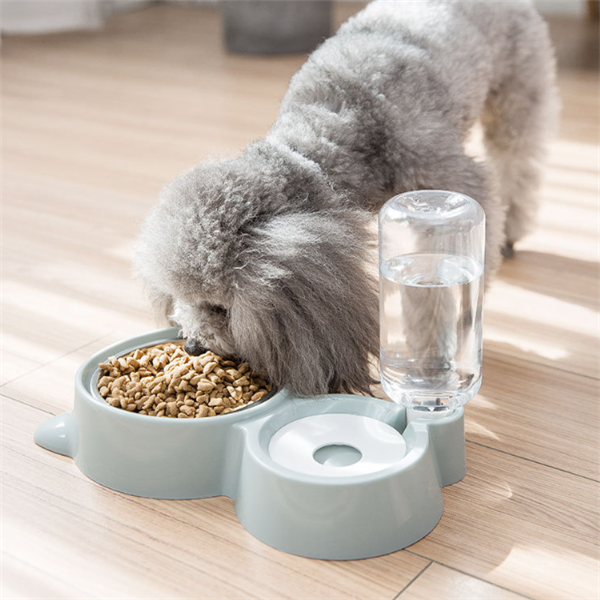 Dog bowl - Pets Crazy Shops