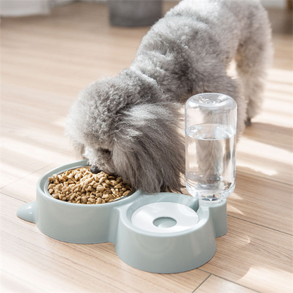 Dog bowl - Pets Crazy Shops