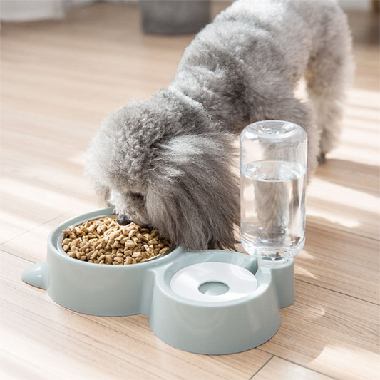 Dog bowl - Pets Crazy Shops
