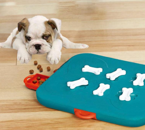 Pet toys casino treasure hunt puzzle food spill toy - Pets Crazy Shops