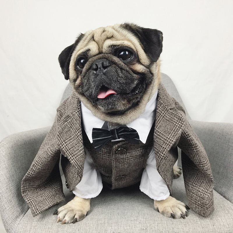 Pet wedding suit - Pets Crazy Shops