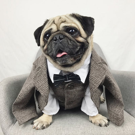 Pet wedding suit - Pets Crazy Shops