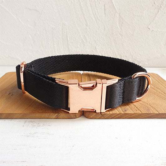 Black dog collar - Pets Crazy Shops