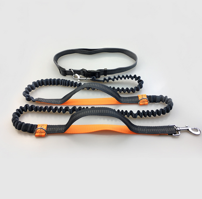 Amazon direct pet supplies multi-function running reflective pull dog leash double elastic dog leash traction - Pets Crazy Shops