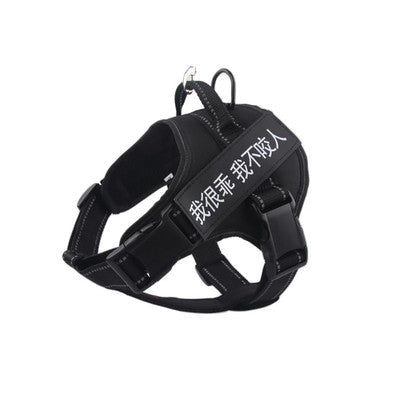 Pet harness - Pets Crazy Shops