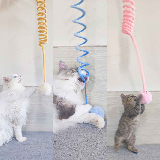 Cat Toy Self-Hi Sucker Spring Rabbit Hair Ball Interactive Play Pet Supplies Interactive Toys  -  - Pets Crazy Shops -