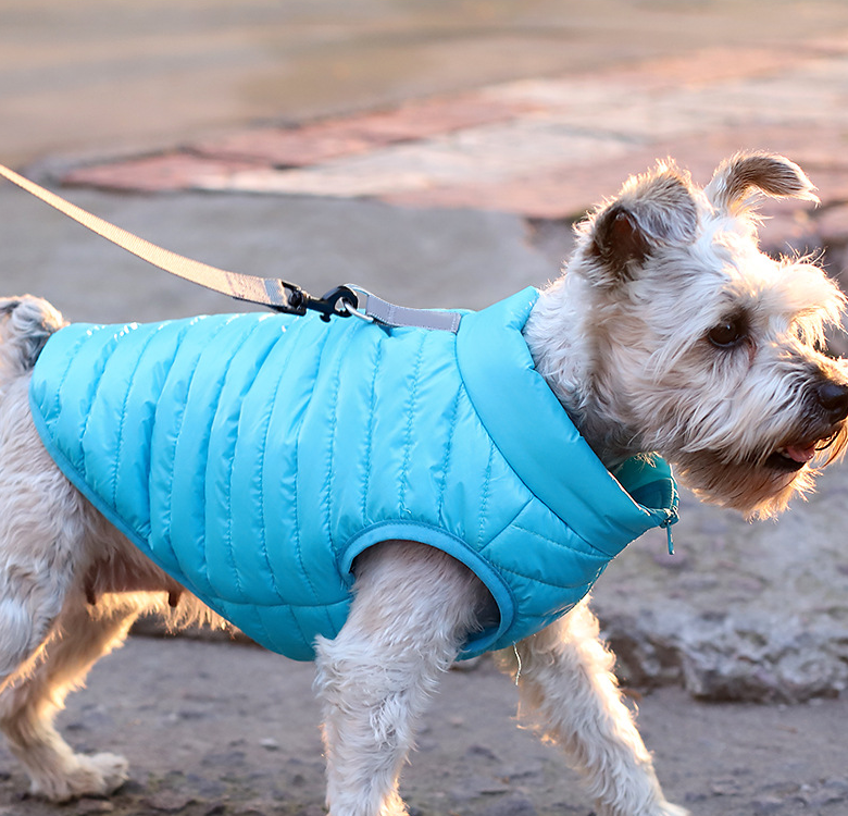 New Pet Dog Clothing Autumn And Winter Full Nylon Zipper Puppy Jacket Dog Clothing - Pets Crazy Shops