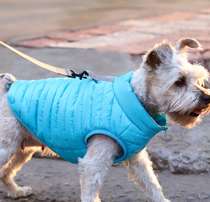 New Pet Dog Clothing Autumn And Winter Full Nylon Zipper Puppy Jacket Dog Clothing - Pets Crazy Shops