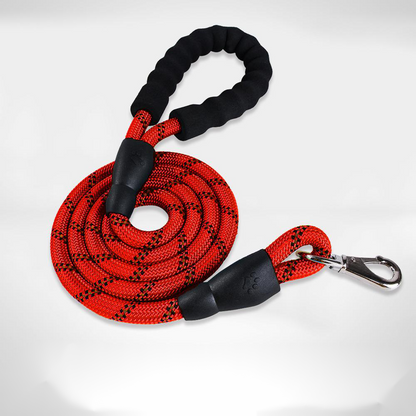 Pet Supplies Medium and Large Dog Dog Collar - Pets Crazy Shops