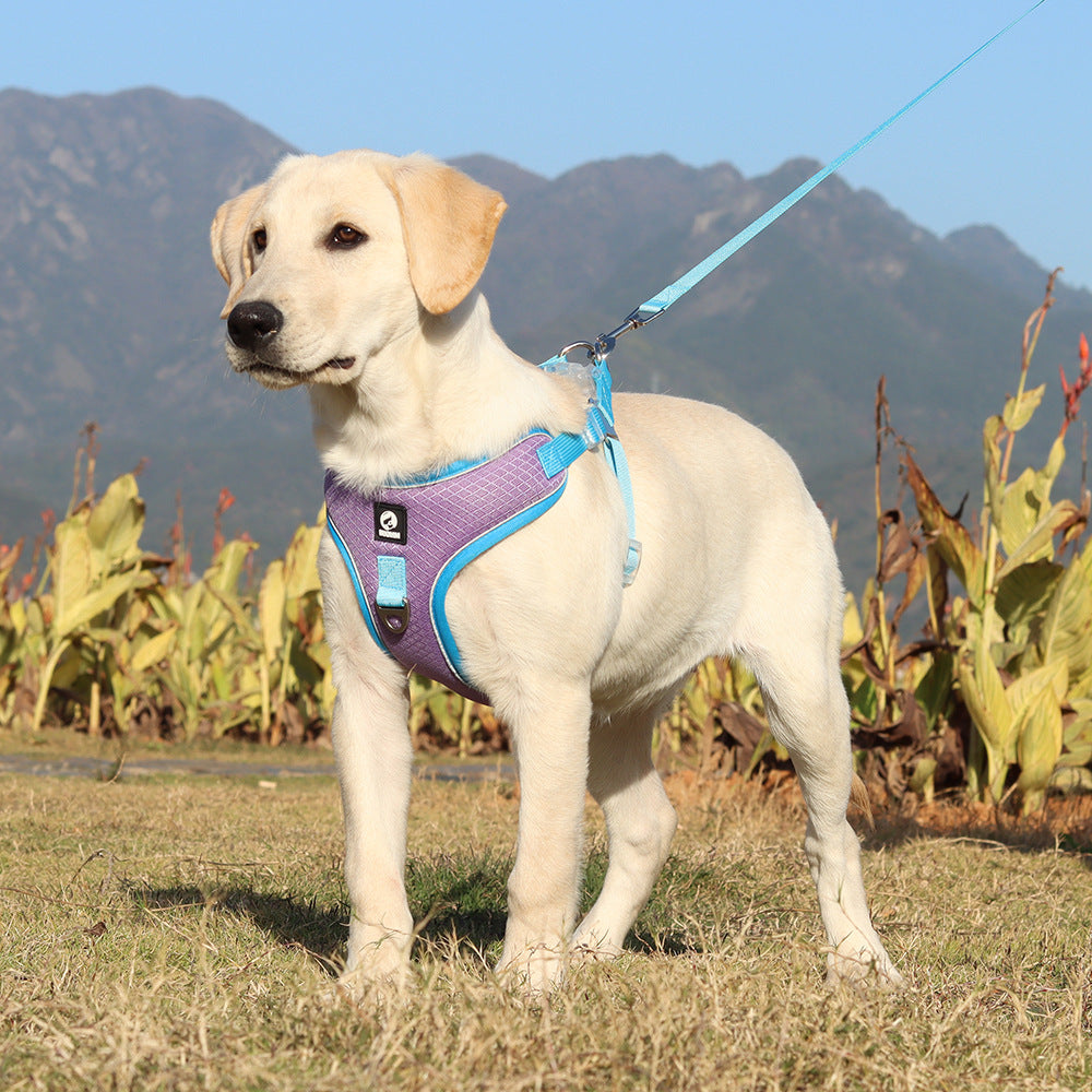 Breathable Pet Harness Adjustable Leash - Pets Crazy Shops