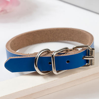 Leather dog collar dog chain - Pets Crazy Shops