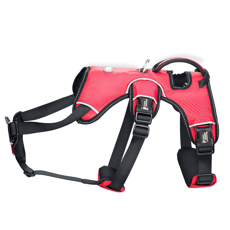 Dog leash collar - Pets Crazy Shops
