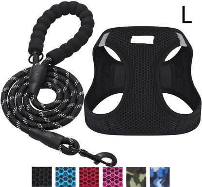 Reflective dog leash - Pets Crazy Shops