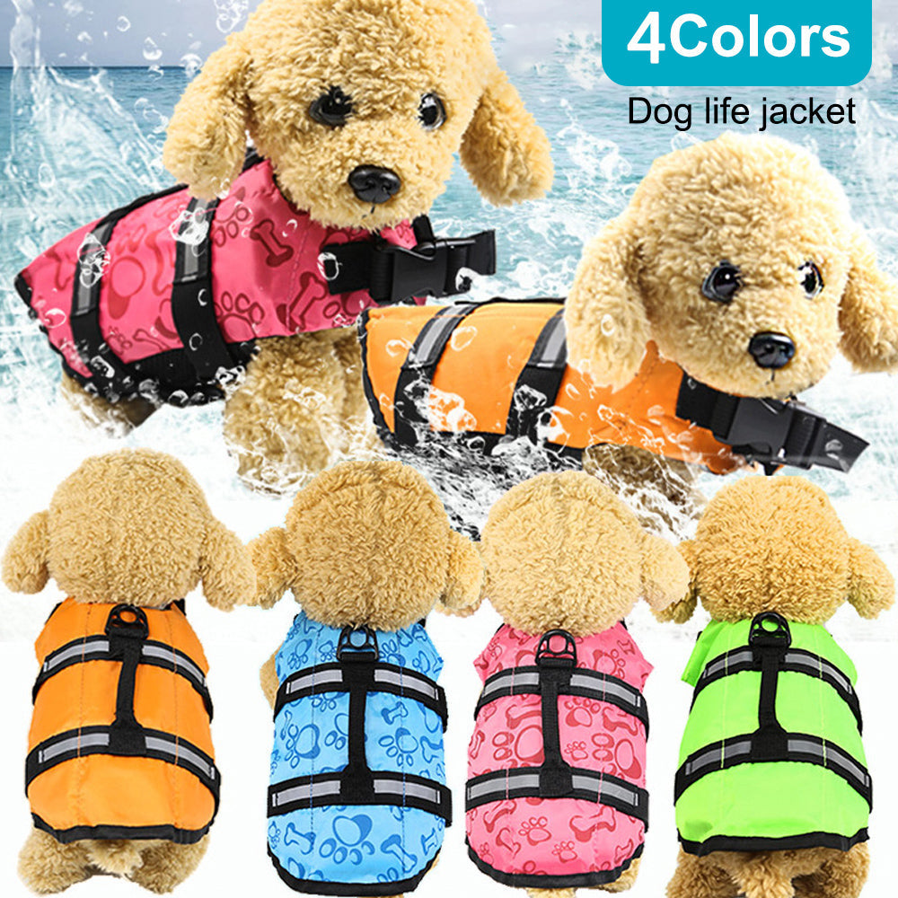 Large and small dogs - Pets Crazy Shops