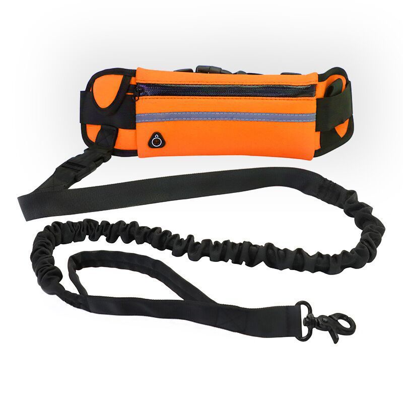 Pet Purse Leash For Dog Walking - Pets Crazy Shops