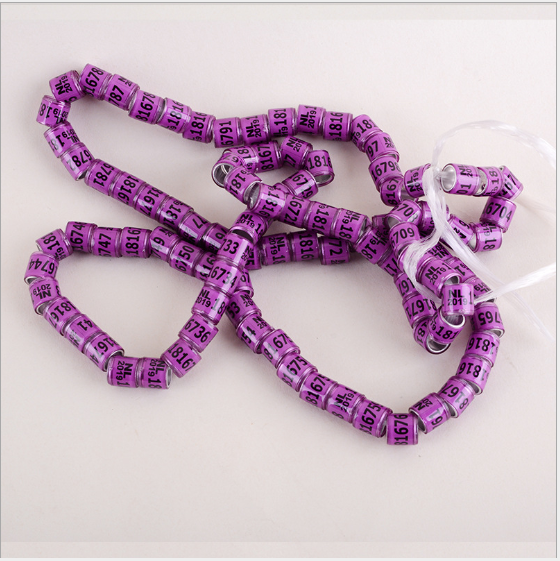 pigeon anklet - Pets Crazy Shops