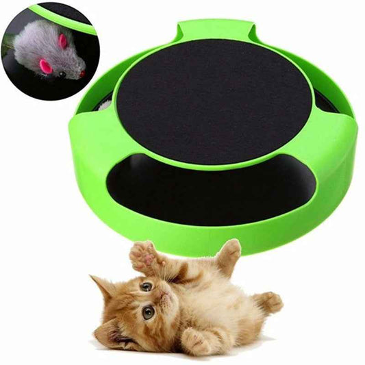 Pet Automatic Toy Funny Cat Interactive Toy  -  - Pets Crazy Shops -