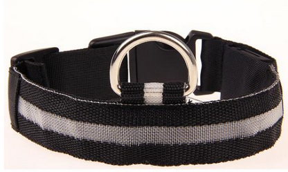 LED Pet Safety Collar - Pets Crazy Shops