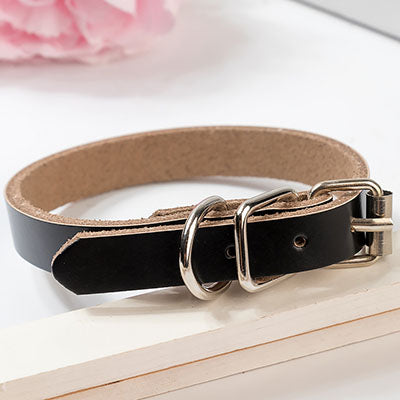 Leather dog collar dog chain - Pets Crazy Shops