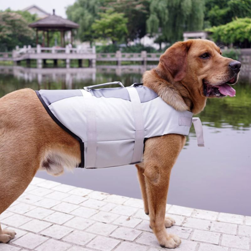 Pet life jacket - Pets Crazy Shops