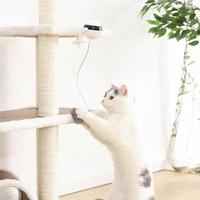 Pet Cat Toy Electronic Motion Cat Toy Interactive  -  - Pets Crazy Shops -