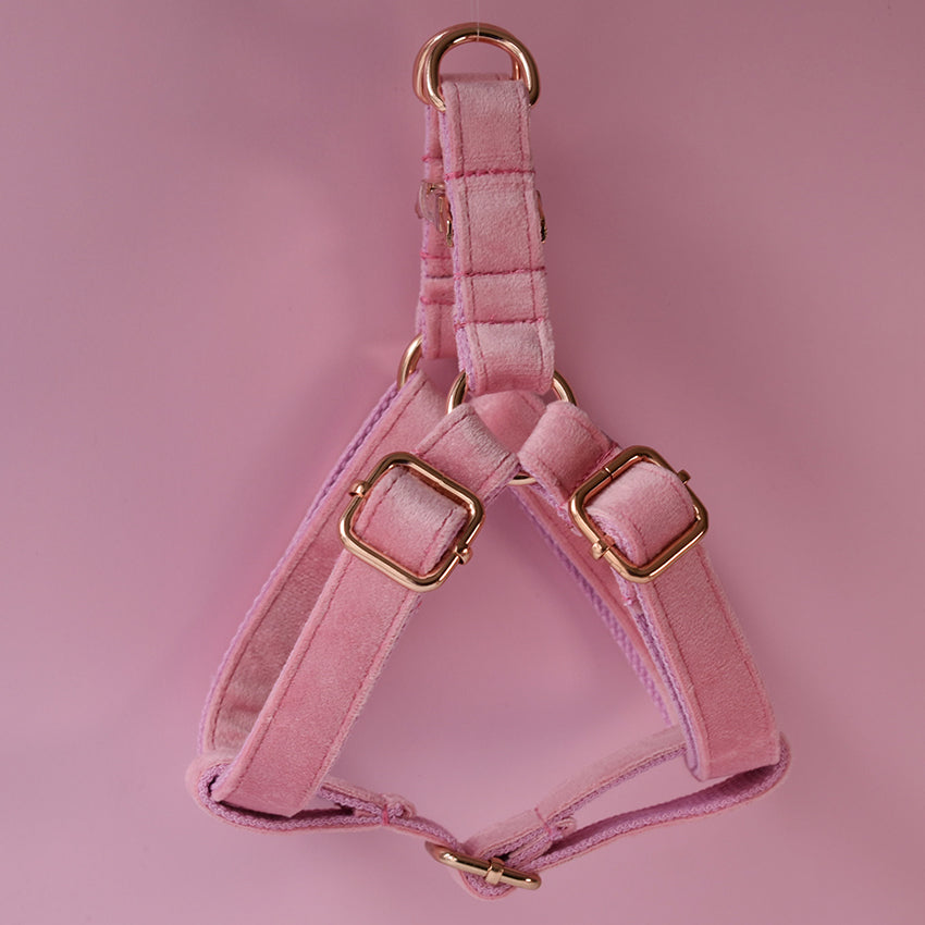 Flannel Dog Harness Pet Supplies Pet Chest Harness - Pets Crazy Shops