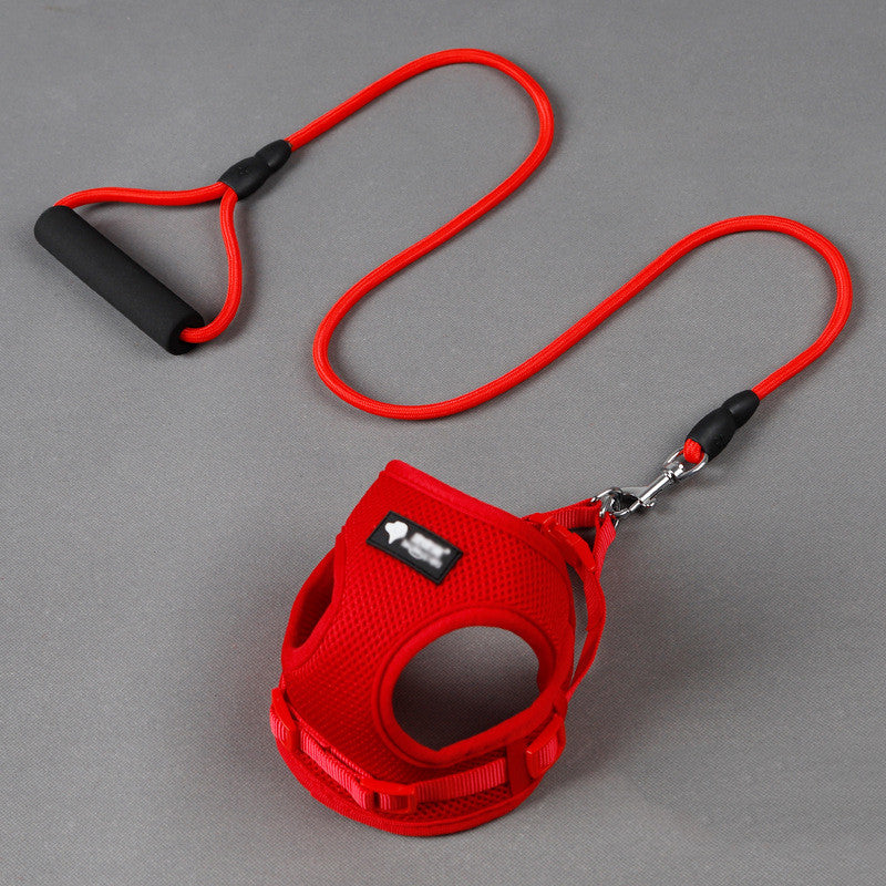 Dog leash dog leash dog collar - Pets Crazy Shops