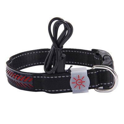 LED light collar pet collar - Pets Crazy Shops